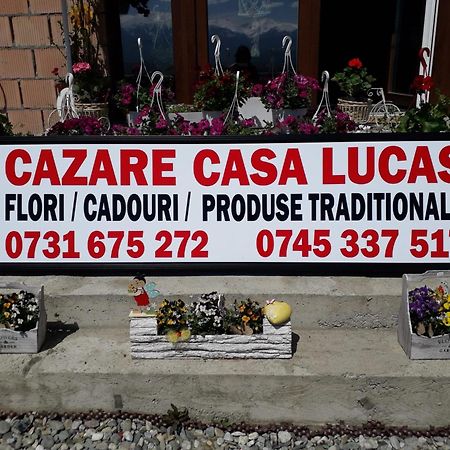 Hotel Casa Lucas Bradu  Exterior foto