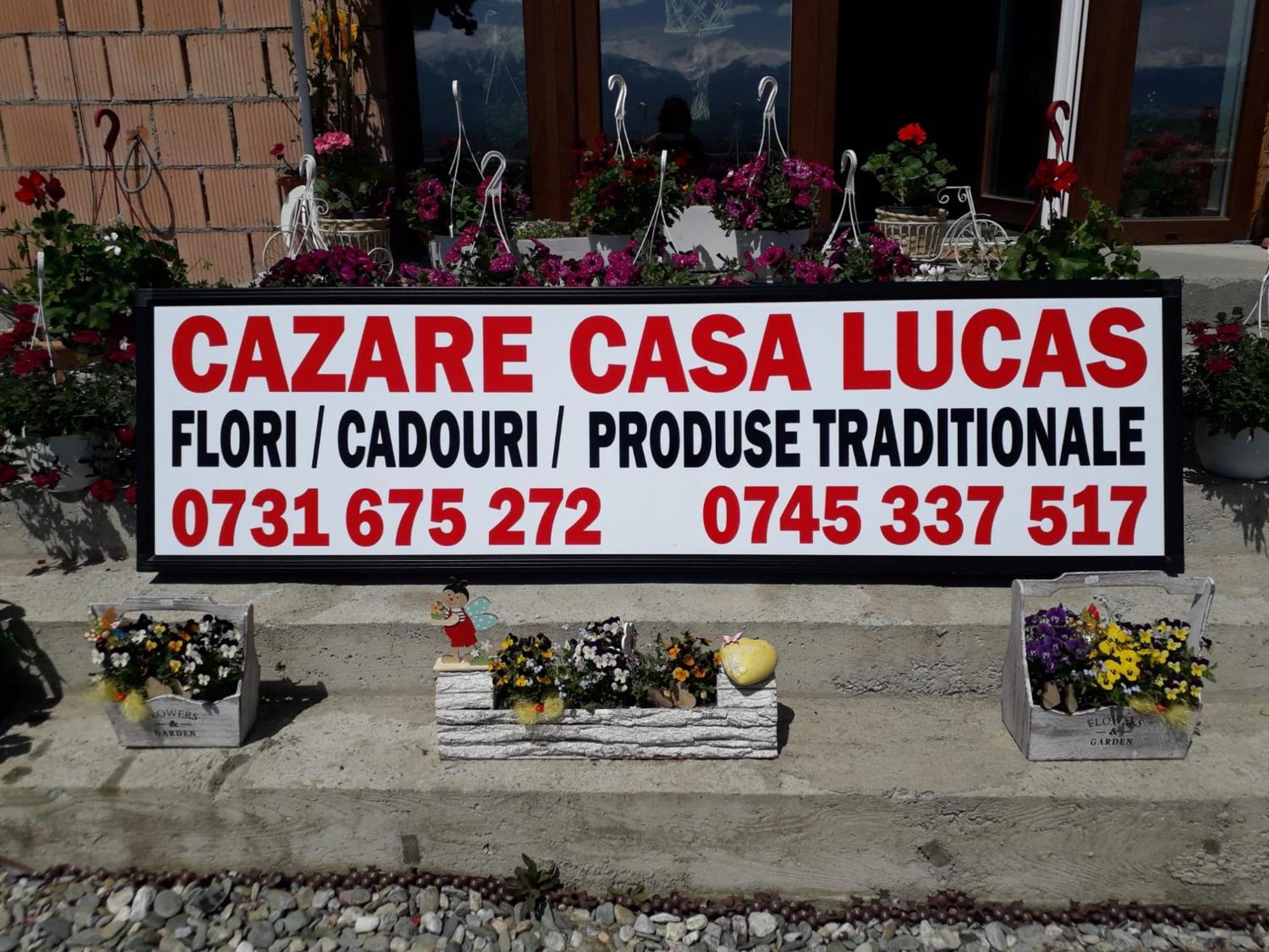 Hotel Casa Lucas Bradu  Exterior foto